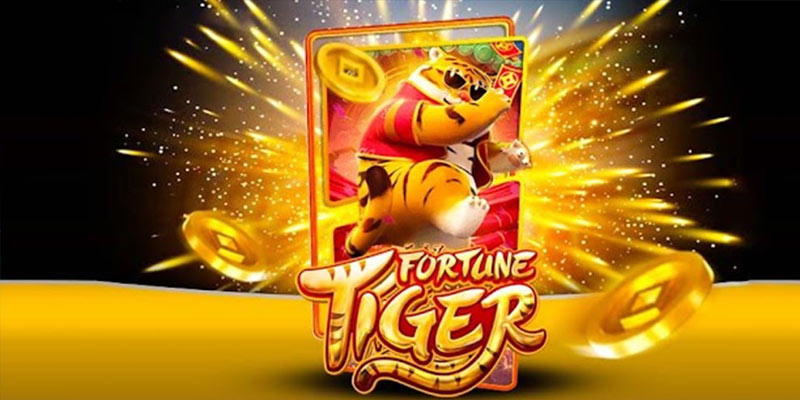 Quem é o Fortune Tiger 65x.Com